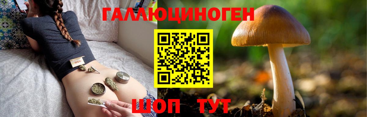 Кропоткин  Псилоцибиновые грибы прущие грибы  Псилоцибиновые грибы ЛСД  Вход с VPN 